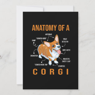 Reserva La Fecha amante del perro corgi
