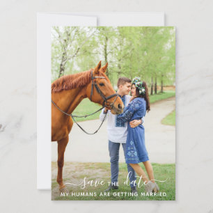 Reserva La Fecha Boda de caballos de foto Mascota personalizada y m
