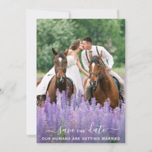 Reserva La Fecha Boda de caballos de fotografía Mascota personaliza