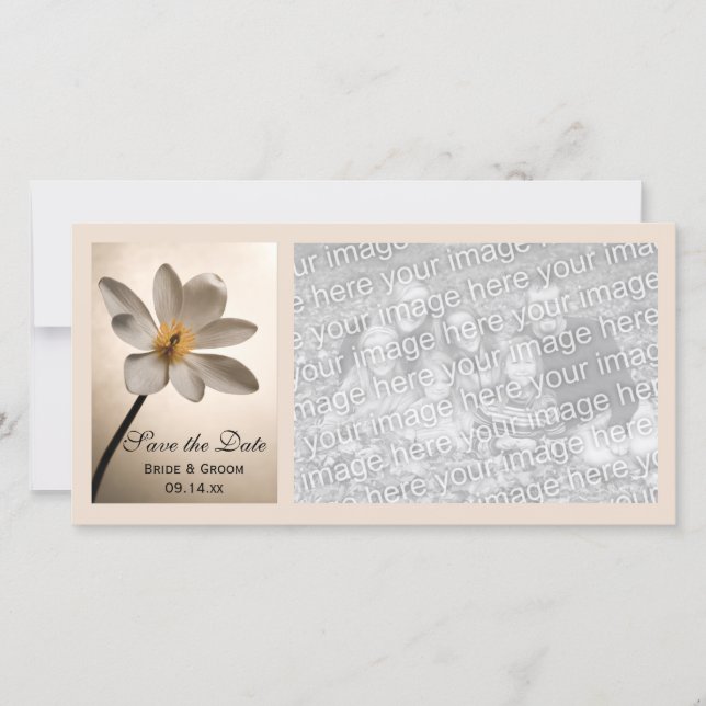 Reserva La Fecha Boda de Flores Silvestres Blancas Salven la Fecha (Anverso)