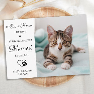 Reserva La Fecha Boda De Gato De Fotos Mascota Personalizada De Hon