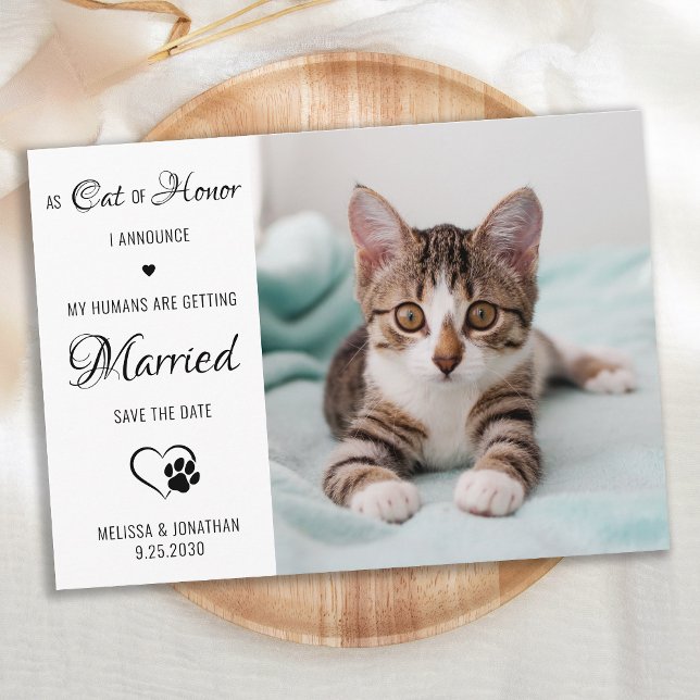 Reserva La Fecha Boda De Gato De Fotos Mascota Personalizada De Hon (Subido por el creador)