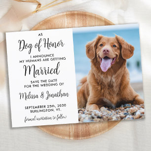 Reserva La Fecha Boda Del Mascota De Fotografía Del Perro De Honor