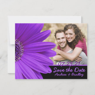 Reserva La Fecha Boda fotográfico Purple Gerbera Daisy Flower