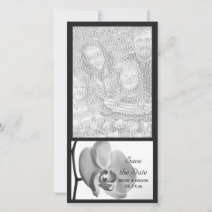 Reserva La Fecha Boda Orquídea Blanca Guardar la Fecha