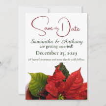Boda Red Poinsettia