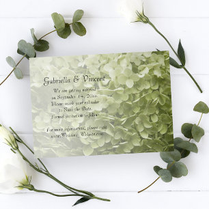 Reserva La Fecha Boda verde Annabelle Hydrangea Salven la fecha