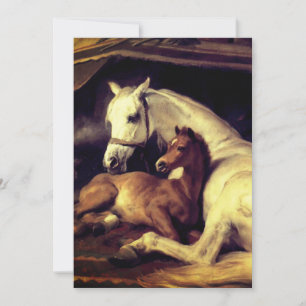 Reserva La Fecha Caballos Landseer