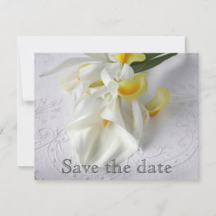 Reserva La Fecha Calla lilies e iris