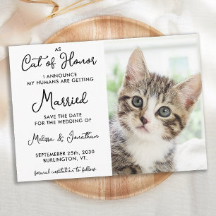 Reserva La Fecha Cat Of Honor Custom Pet Photo Casual Wedding