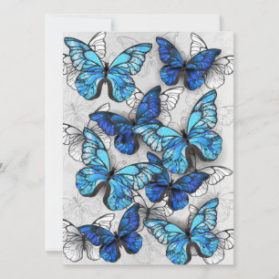 Reserva La Fecha Composición de las mariposas blancas y azules