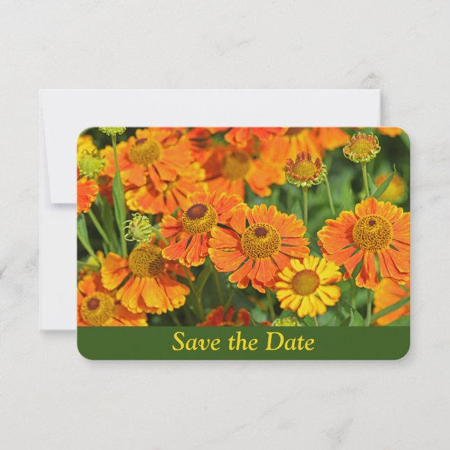 Reserva La Fecha Cumpleaños sorpresa de jardín de flores de hierba  (Anverso)