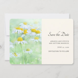 Reserva La Fecha Daisies de bonito en una fotografía de campo