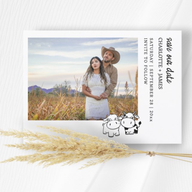 Reserva La Fecha Deciremos Que Yo Moo Country Cow Tema (We Will Say I Moo Country Cow Themed Save The Dates from Ricaso. Whimsical cow couple fun cards)