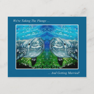 Reserva La Fecha Dos Dolpings: Estamos tomando la zambullida: El