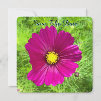 Reserva La Fecha Edición de la Mente: Cosmos Save The Date