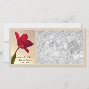 Reserva La Fecha Elegante Boda de Tulipanes Rojos Salven la Fecha