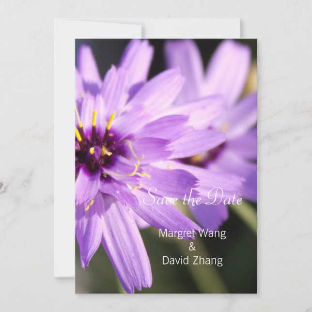 Reserva La Fecha Elegante flor de margarita bonito púrpura salva la (Anverso)