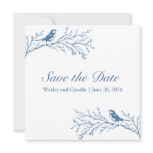 Elegantes Bluejays en una rama