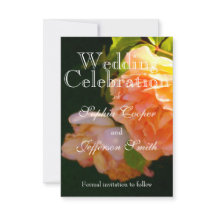 Elegantes Rosas naranjas de melocotón claro