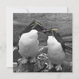 Reserva La Fecha Explosión de color de pingüino