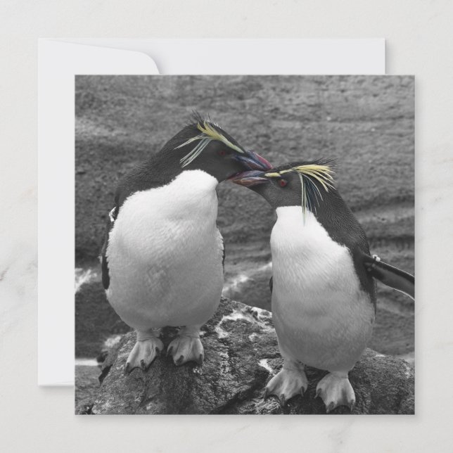 Reserva La Fecha Explosión de color de pingüino (Anverso)