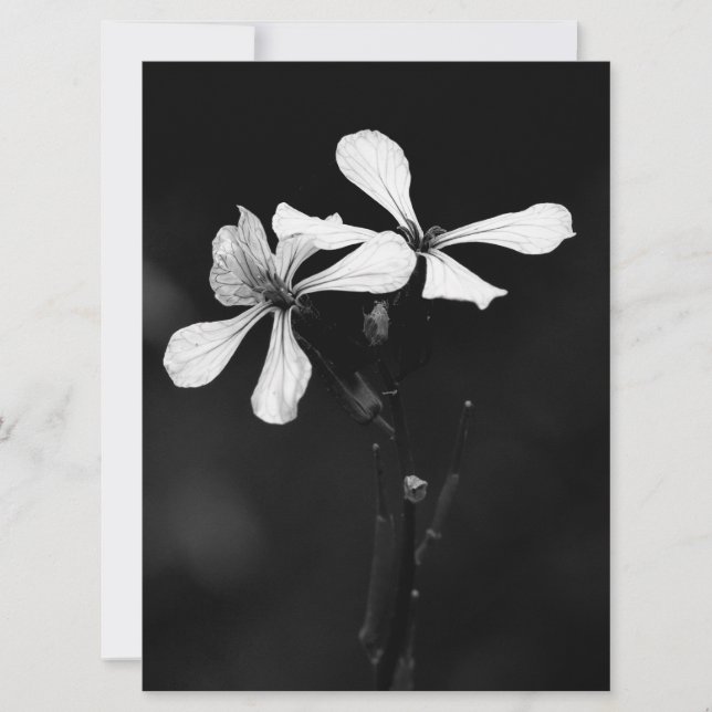 Reserva La Fecha floral en blanco y negro minimalista (Anverso)