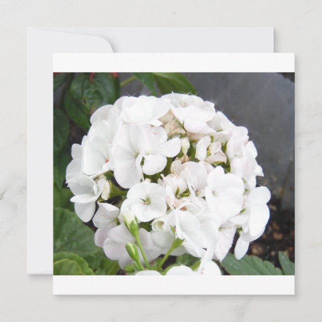 Reserva La Fecha Flores Blancas Brillantes Boda (Anverso)