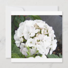 Reserva La Fecha Flores Blancas Brillantes Boda