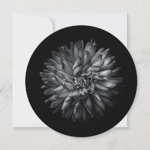 Reserva La Fecha Flores de Jardín en Blanco y Negro 20