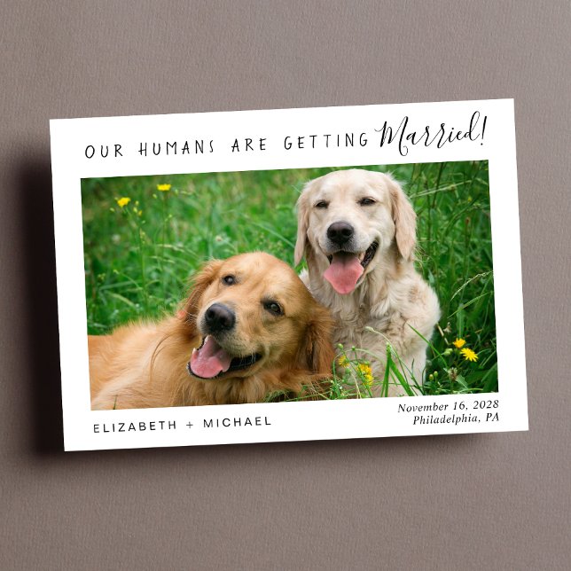 Reserva La Fecha Foto Mascota moderna Guardar la fecha (Personalize with your pets' photo, your names and wedding date)
