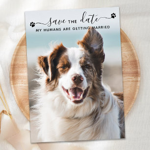 Reserva La Fecha Foto personalizada de Mascota de Boda de perro Gua