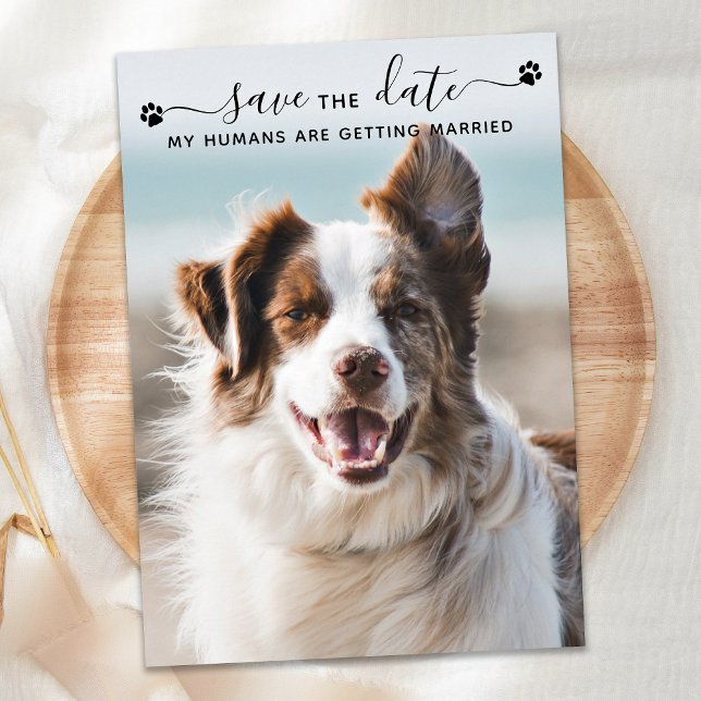 Reserva La Fecha Foto personalizada de Mascota de Boda de perro Gua (Subido por el creador)