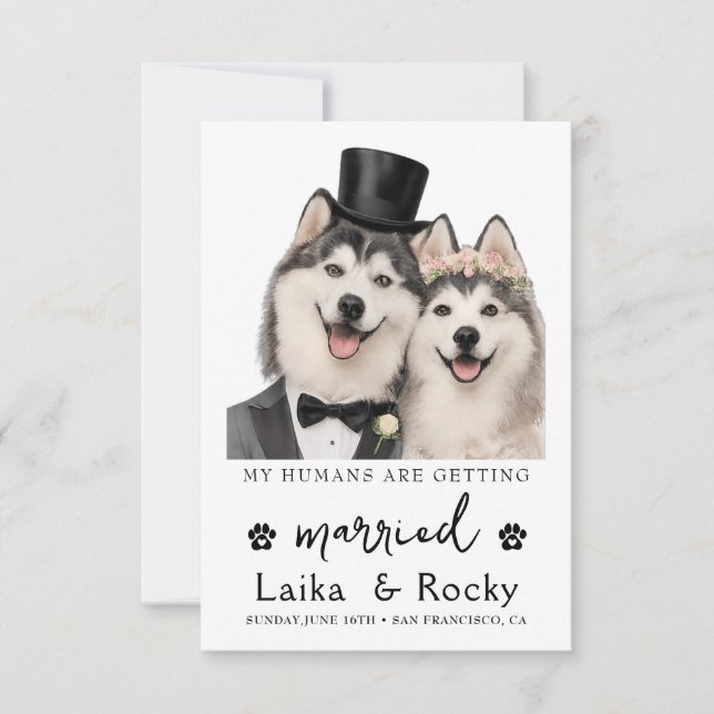 Reserva La Fecha Funny Dog Wedding Invitation (Anverso)