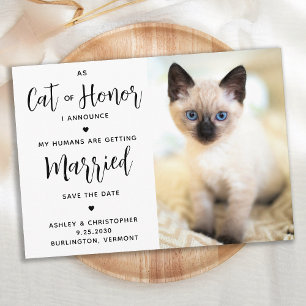 Reserva La Fecha Gato De Honor