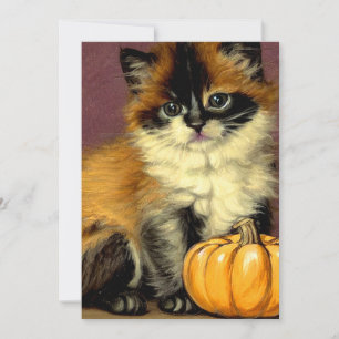 Reserva La Fecha Gato Vintage Ragdoll Halloween