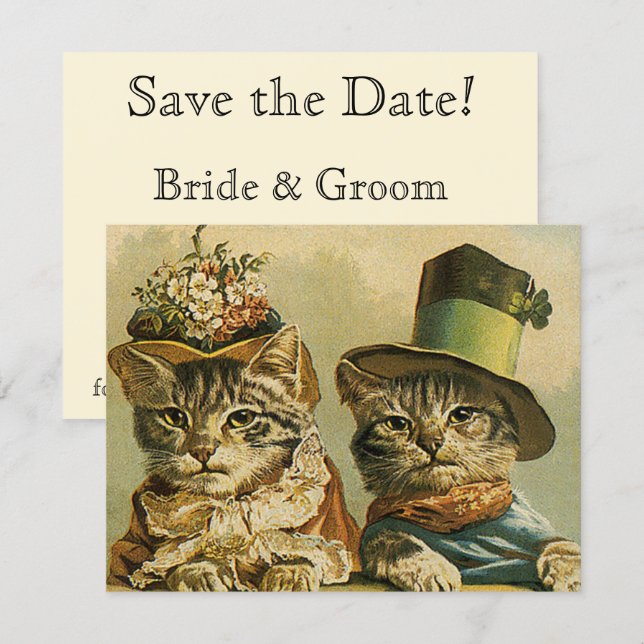 Reserva La Fecha Gatos Divertidos Victorianos Antiguos en Sombreros (Anverso / Reverso)