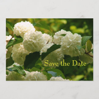 Reserva La Fecha Guardar la fecha