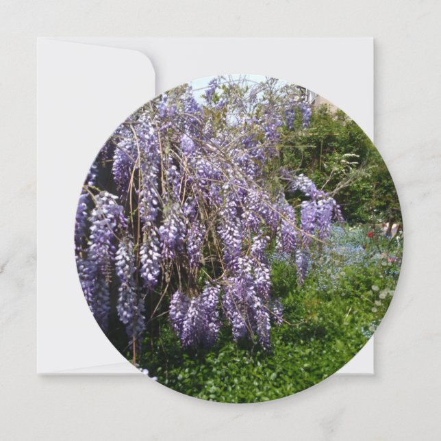 Reserva La Fecha Guardar la fecha Boda wisteria violeta verde (Anverso)