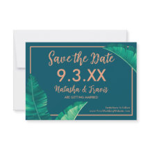 Hojas tropicales elegantes de palmera