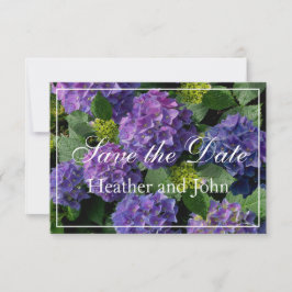 Reserva La Fecha Hortensias de color azul violeta pervinca