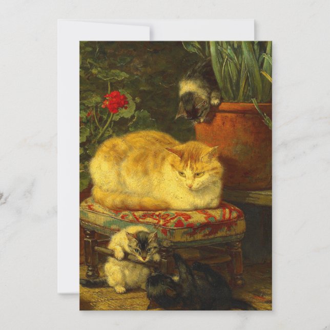 Reserva La Fecha Kittens at Play (Anverso)