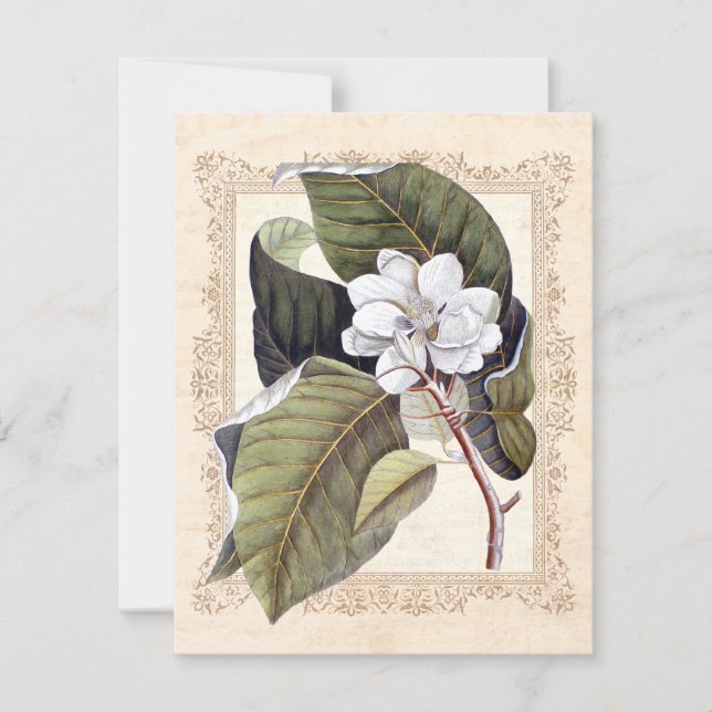 Reserva La Fecha La Magnolia Blanca Boda del Sur salva la fecha (Anverso)