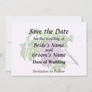 Reserva La Fecha Lilacs Just Opening