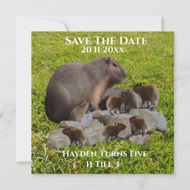 Reserva La Fecha Mamá Y El Bebé Capybaras, Salven La Fecha (Anverso)