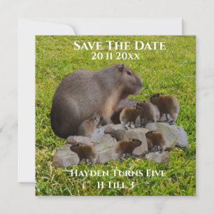 Reserva La Fecha Mamá Y El Bebé Capybaras, Salven La Fecha