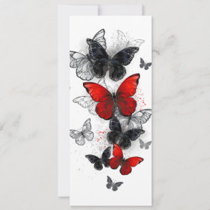 Reserva La Fecha Mariposas Morpho voladoras negras y rojas