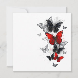 Reserva La Fecha Mariposas Morpho voladoras negras y rojas