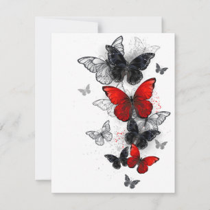 Reserva La Fecha Mariposas Morpho voladoras negras y rojas