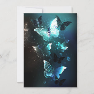Reserva La Fecha Mariposas nocturnas